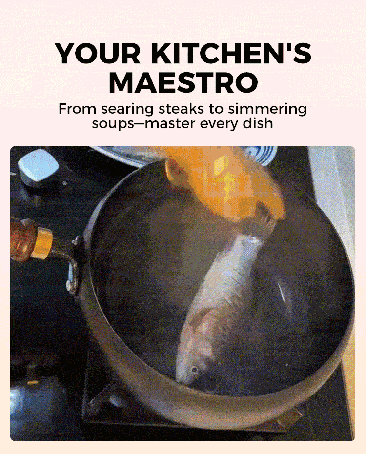 Non Stick Iron Pot