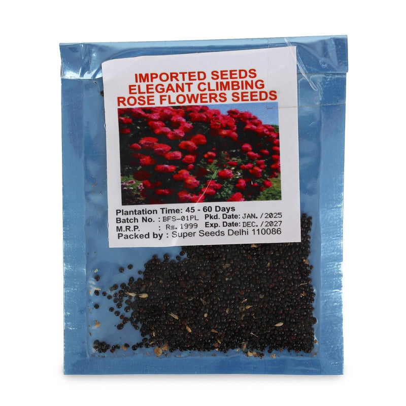 🌹 Elegant Climbing Rose Flower Seeds- 9 Rare and Breathtaking Colors Seeds