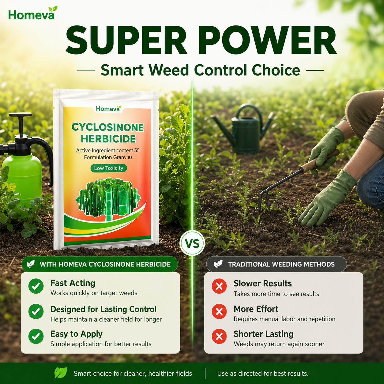 Cyclosinone Herbicide Granules (Pack of 2)