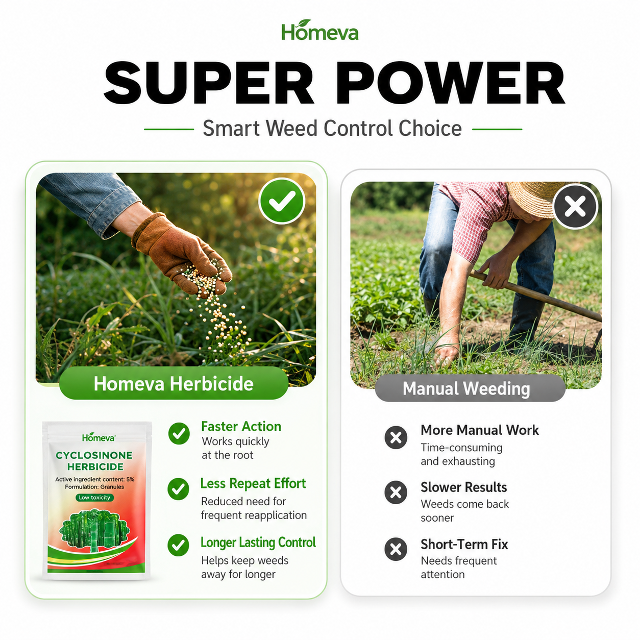 Cyclosinone Herbicide Granules (Pack of 2)