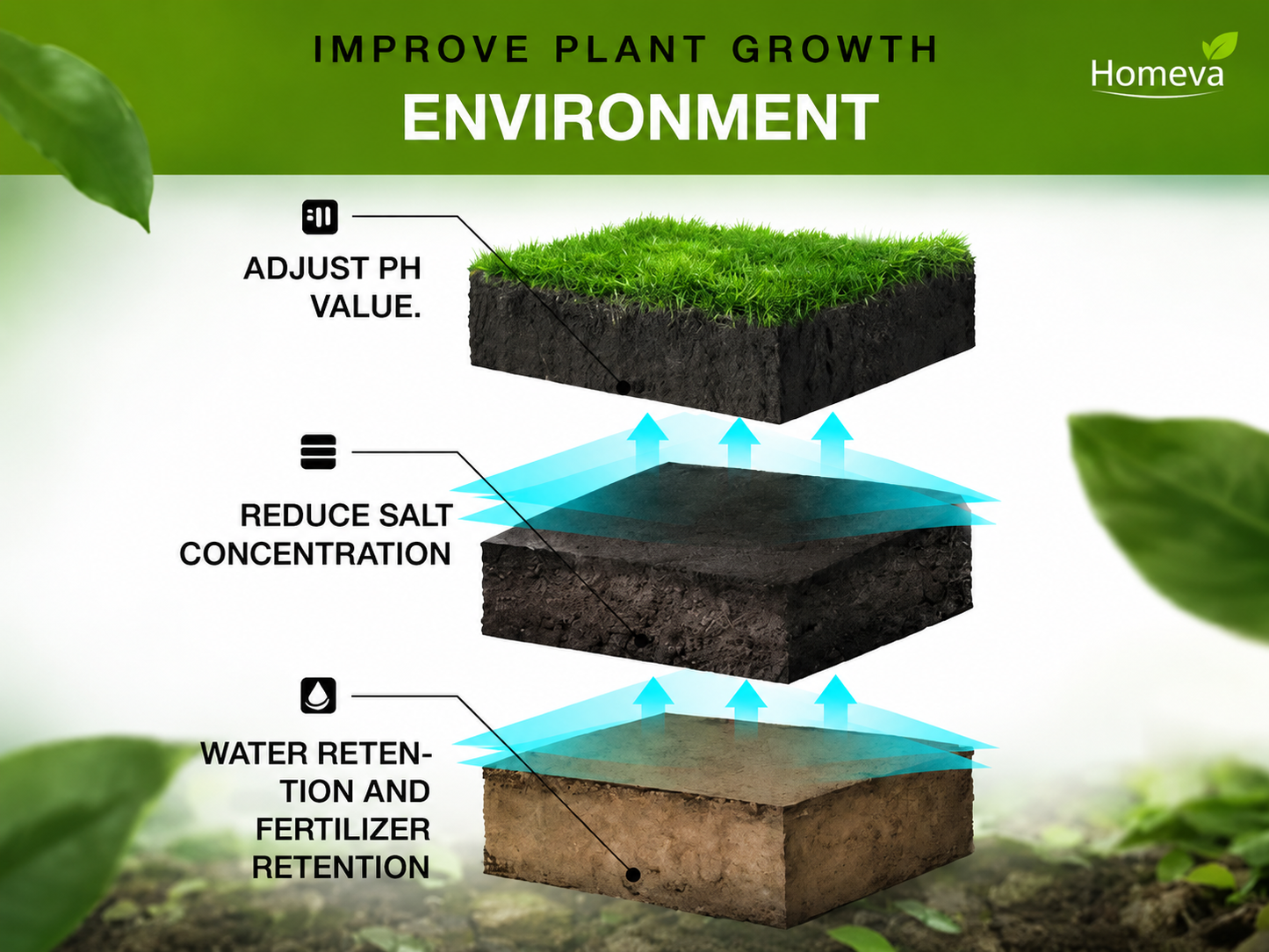 Soil Activator – Mineral Source for Better Soil & Healthier Plant Growth